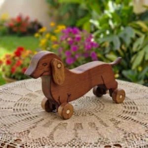 Cachorrinho.webp